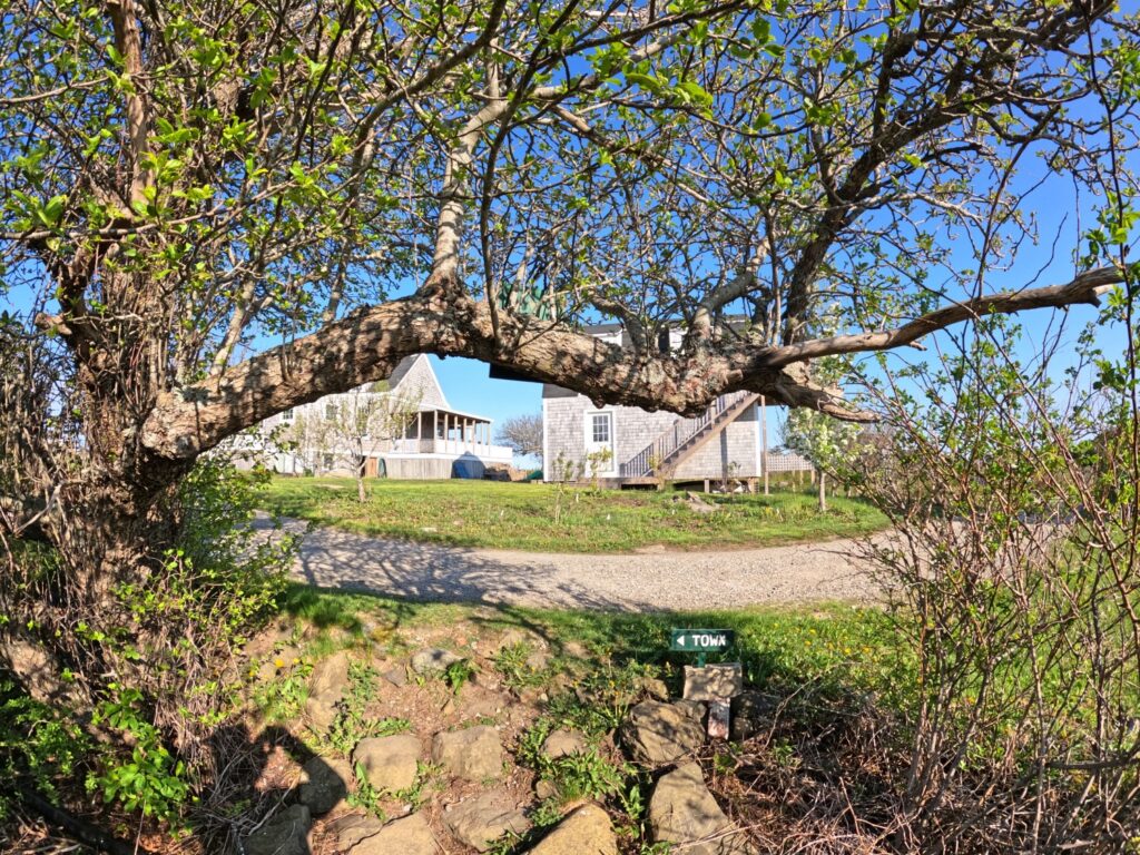 Monhegan Island Hike