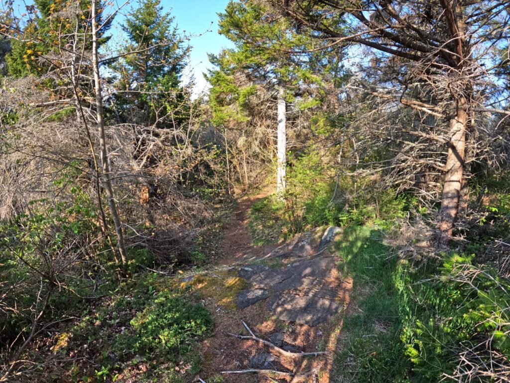 Monhegan Island Hike