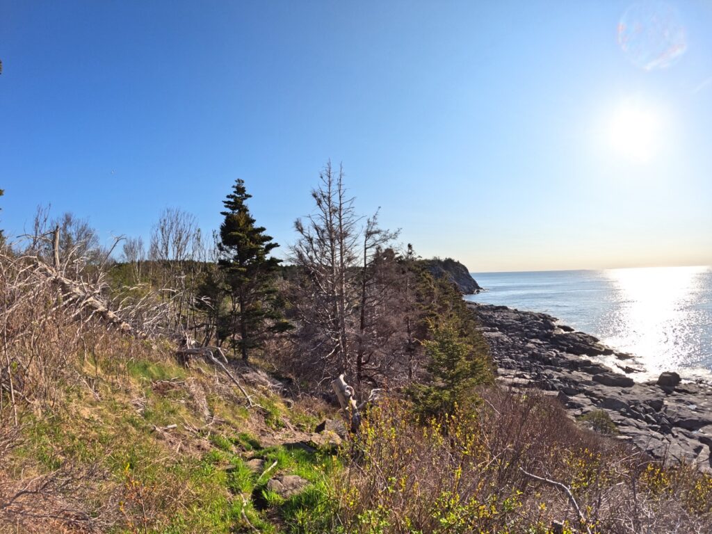 Monhegan Island Hike