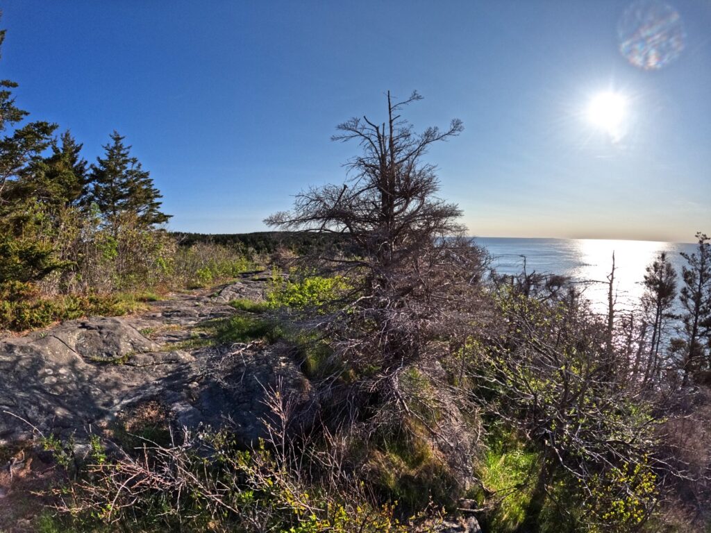 Monhegan Island Hike