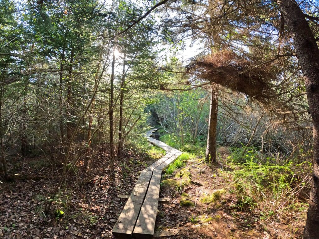 Monhegan Island Hike