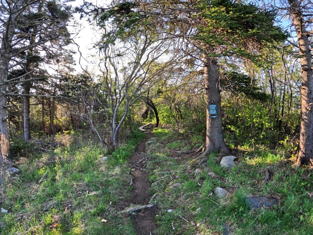 Monhegan Island Hike