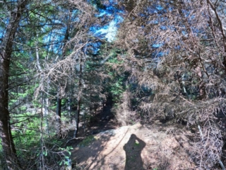 Monhegan Maine Trails