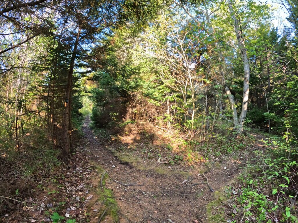 Monhegan Island Hike