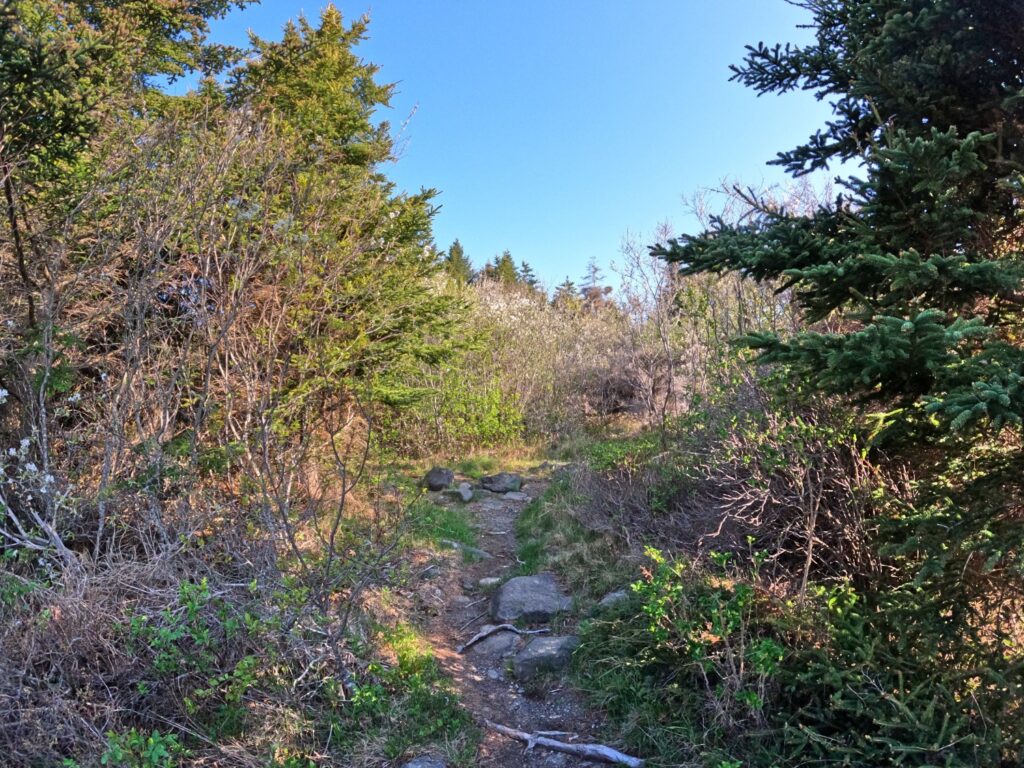 Monhegan Island Hike