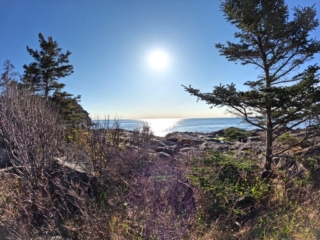 Monhegan Maine Trails