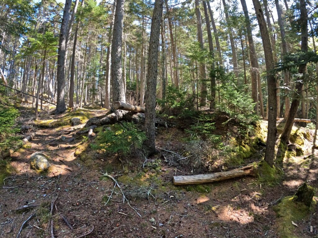 Monhegan Island Maine