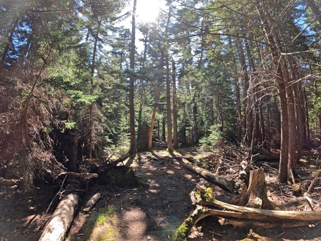 Monhegan Island Maine