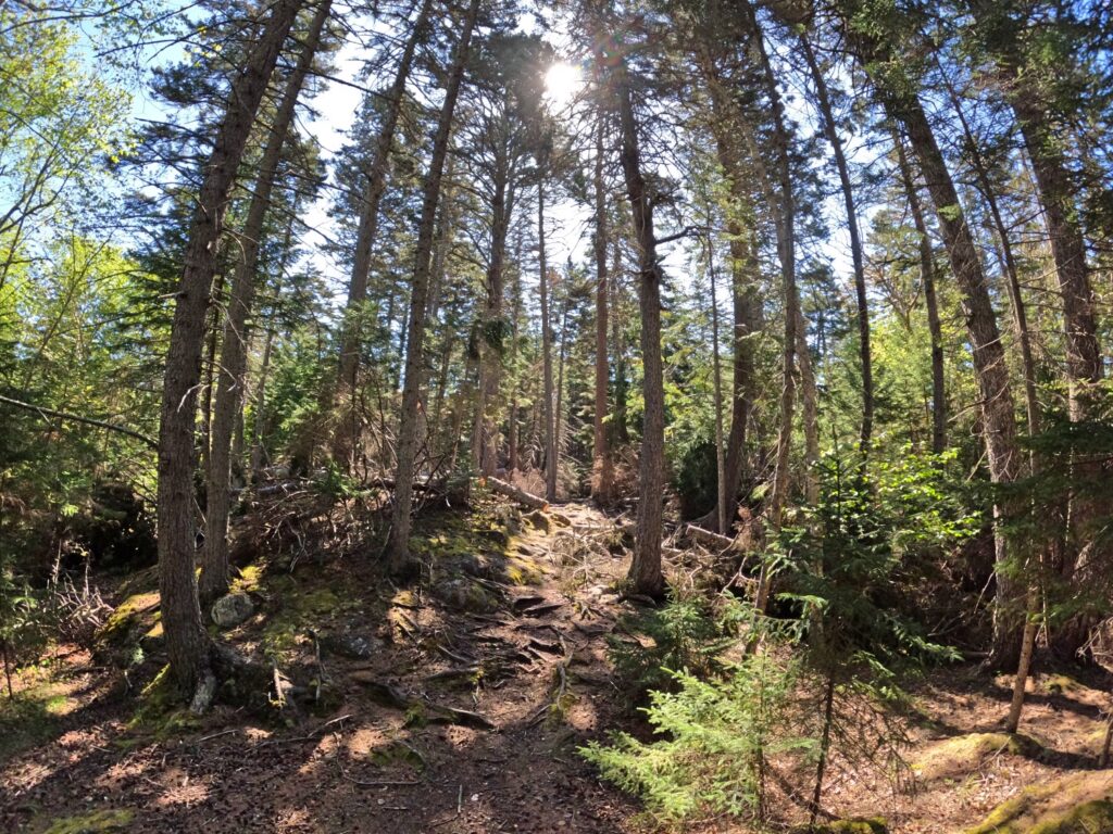 Monhegan Island Maine