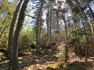 Monhegan Island Maine