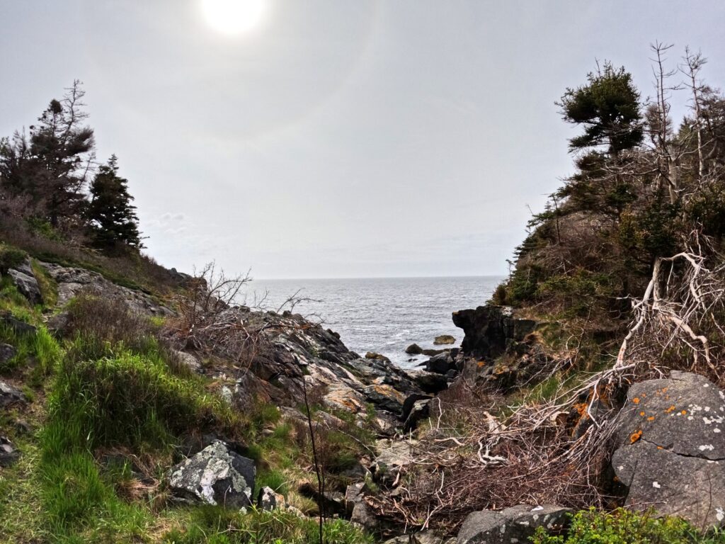 Monhegan Island Picture Gallery