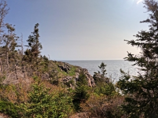 Trails at Monhegan Island Maine