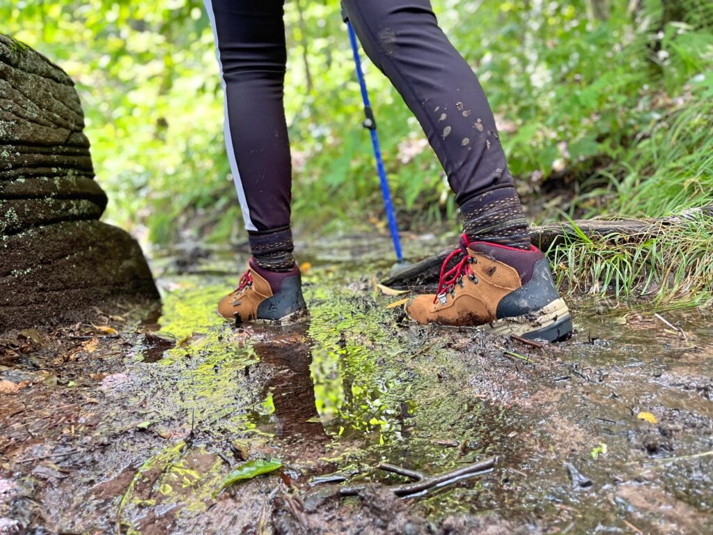 Giant Ledge & Panther Mountain Catskills Peak