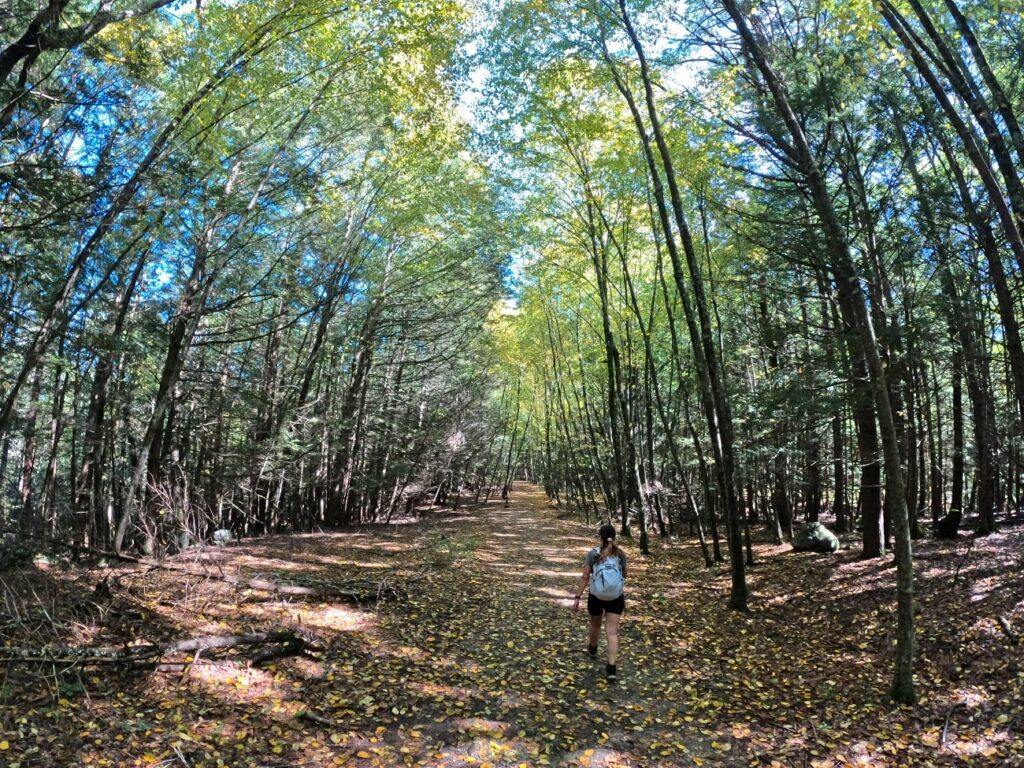 Cliff Trail &amp; Hacker Falls Loop