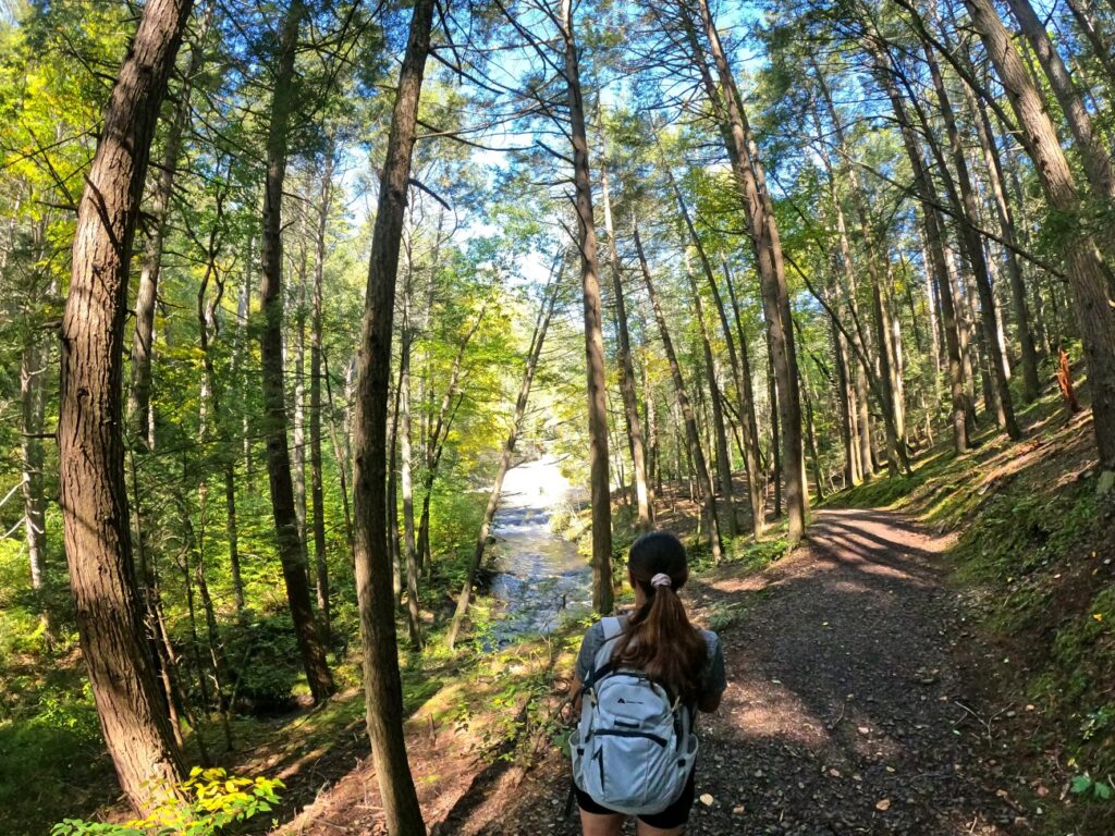 Cliff Trail &amp; Hacker Falls Loop