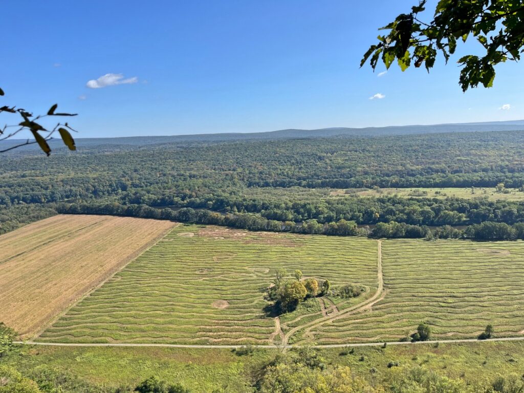 Cliff Trail &amp; Hacker Falls Loop
