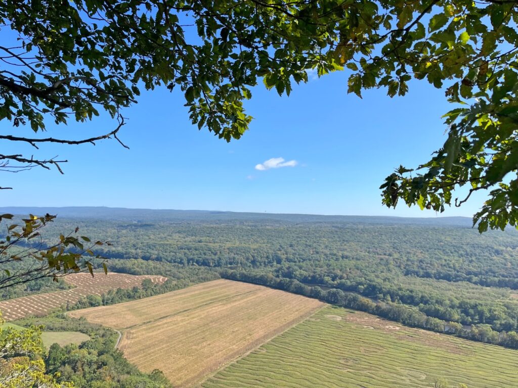 Cliff Trail &amp; Hacker Falls Loop
