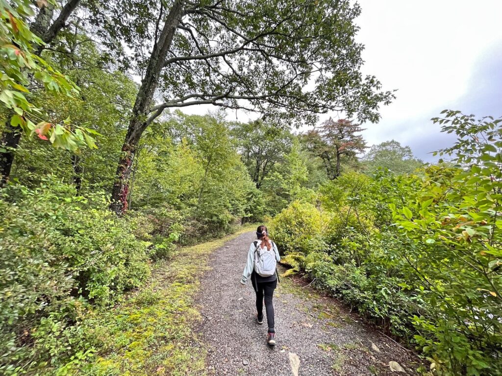 high point park hike 1