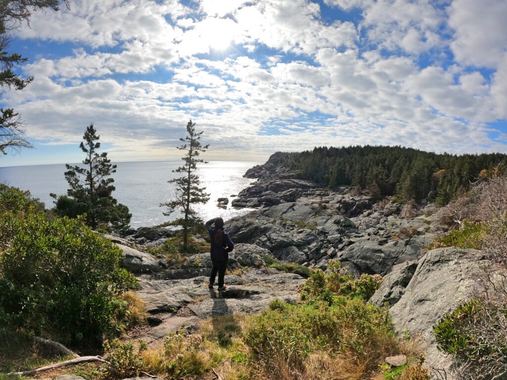 Exploring Monhegan Island in November 2023 Hiking Monhegan Maine Cliff Trail
