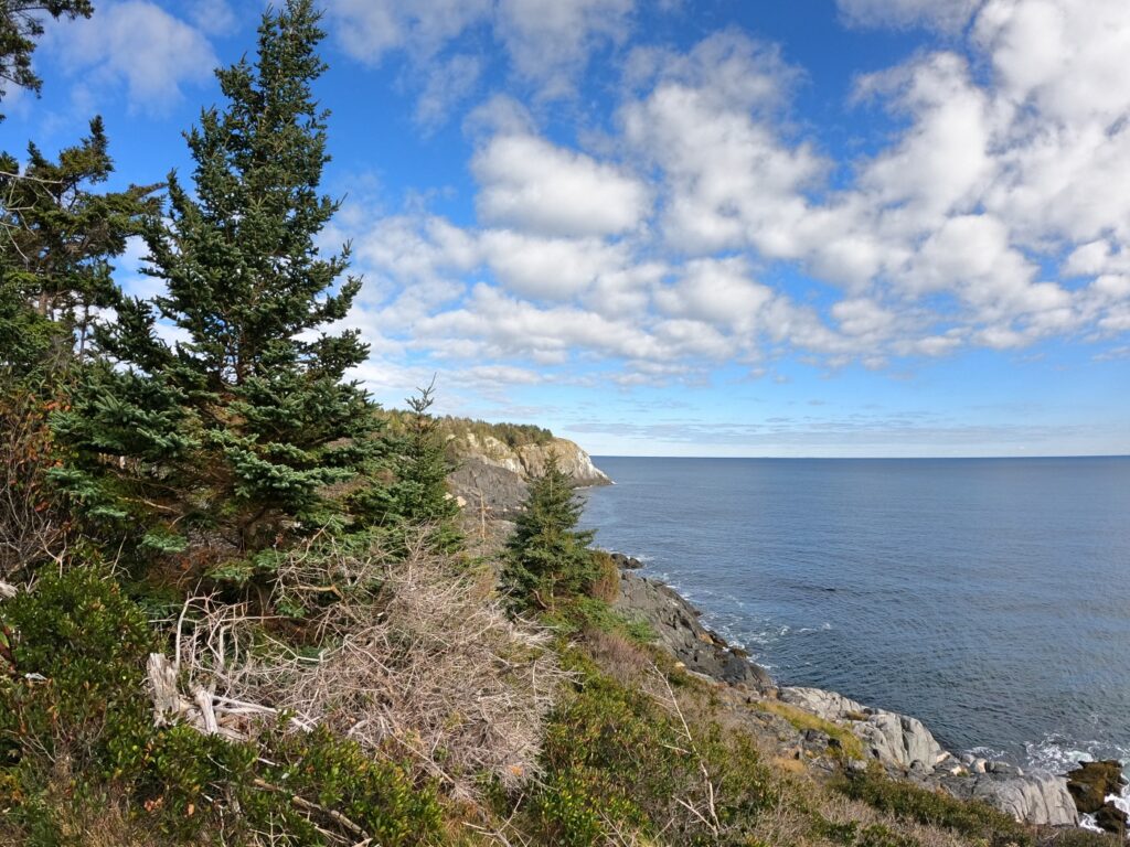 Exploring Monhegan Island in November 2023 Hiking Monhegan Maine Cliff Trail