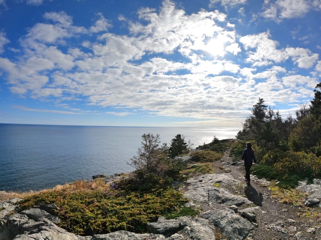 Exploring Monhegan Island in November 2023 Hiking Monhegan Maine Cliff Trail