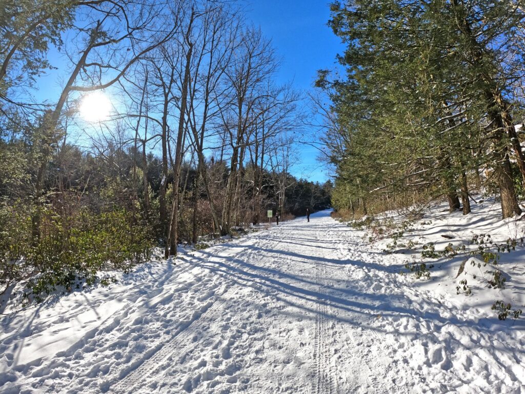Mossy Glen Trail - Minnewaska State Park Hiking Minnewaska State Park Jan 2024