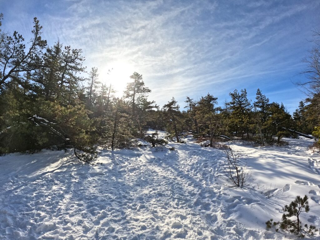 Mossy Glen Trail - Minnewaska State Park Hiking Minnewaska State Park Jan 2024