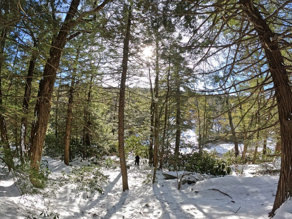 Mossy Glen Trail - Minnewaska State Park Hiking Minnewaska State Park Jan 2024