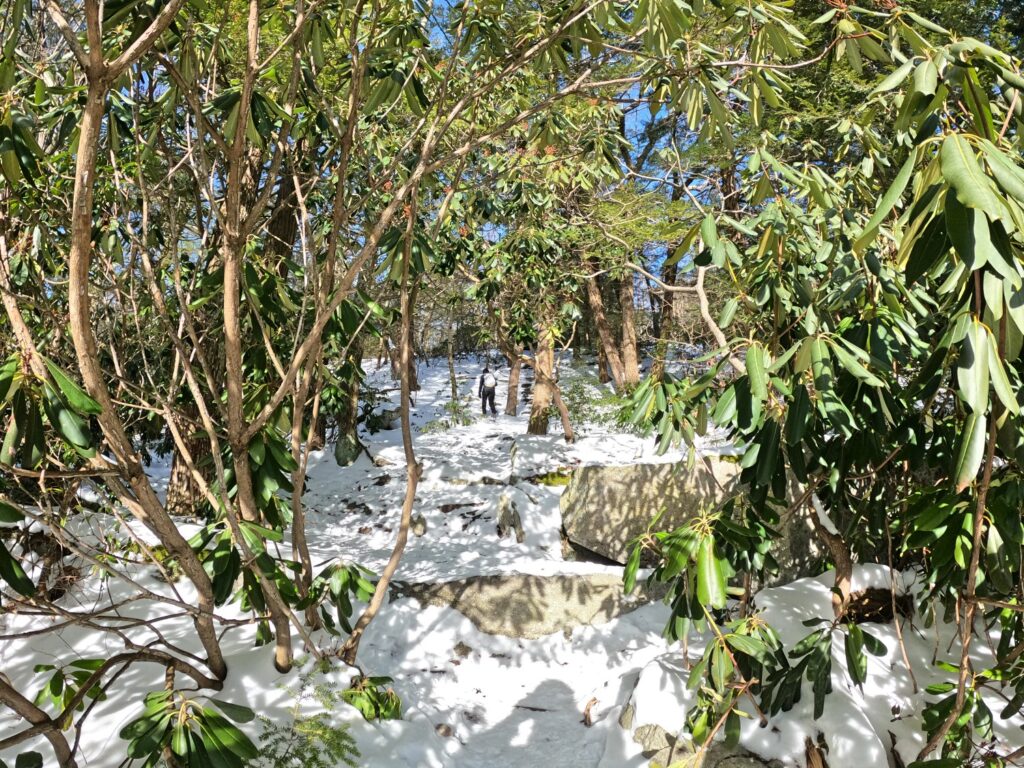 Mossy Glen Trail - Minnewaska State Park Hiking Minnewaska State Park Jan 2024