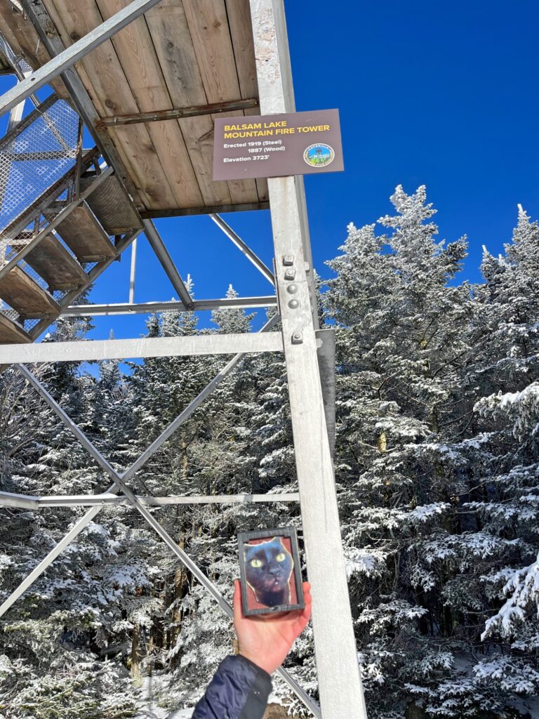 Hiking Balsam Mountain