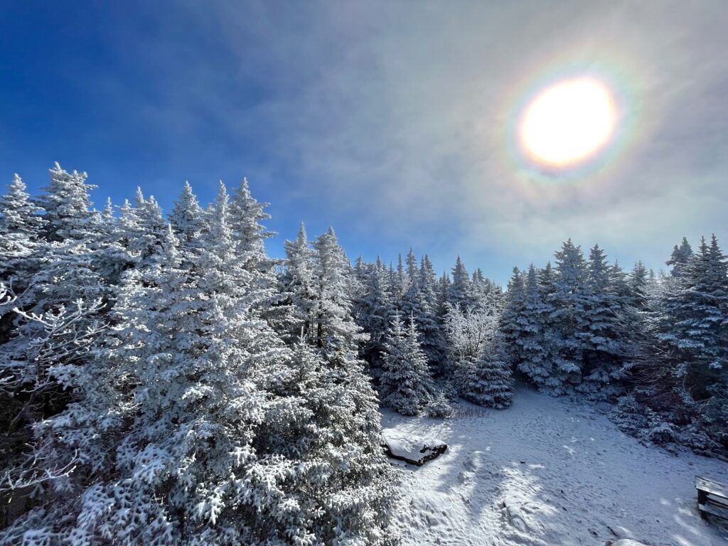 Hiking Balsam Mountain