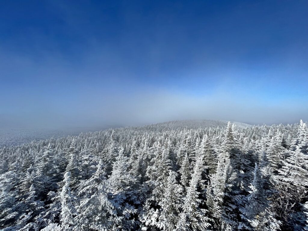 Hiking Balsam Mountain