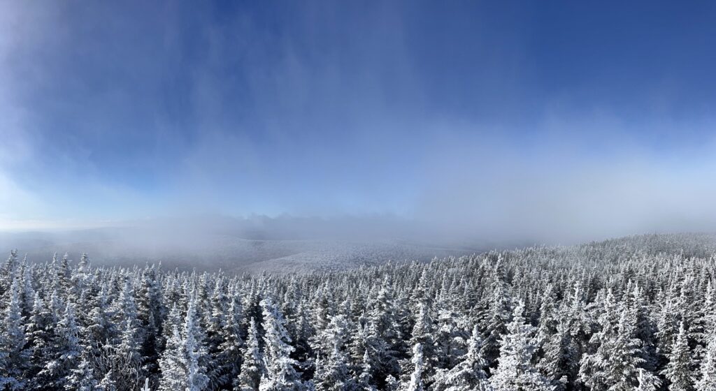Hiking Balsam Mountain