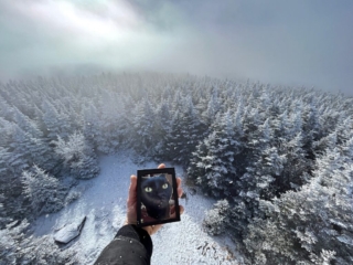 Balsam Mountain Fire Tower - Catskills Fire Tower Challenge 2024 Hiking Balsam Mountain