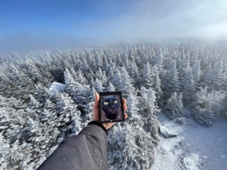 Balsam Mountain Fire Tower - Catskills Fire Tower Challenge 2024 Hiking Balsam Mountain