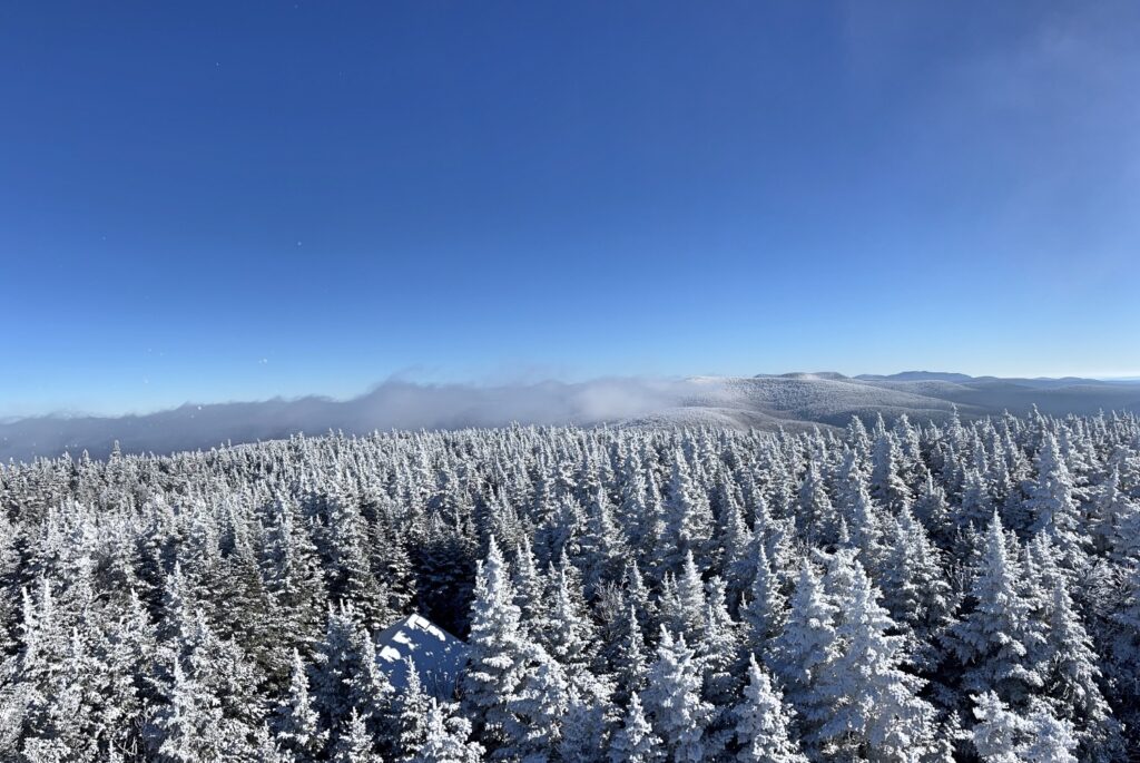 Hiking Balsam Mountain