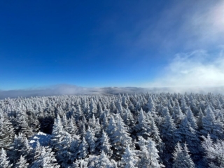 Balsam Mountain Fire Tower - Catskills Fire Tower Challenge 2024 Hiking Balsam Mountain