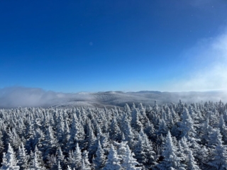 Balsam Mountain Fire Tower - Catskills Fire Tower Challenge 2024 Hiking Balsam Mountain