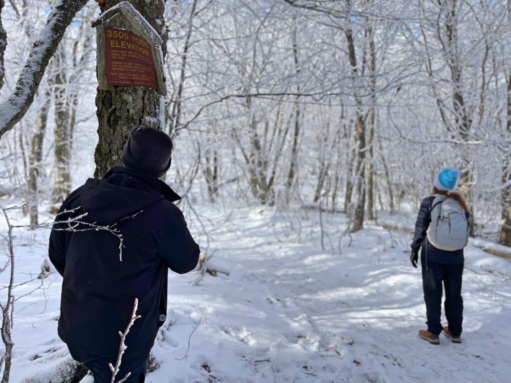 Hiking Balsam Mountain