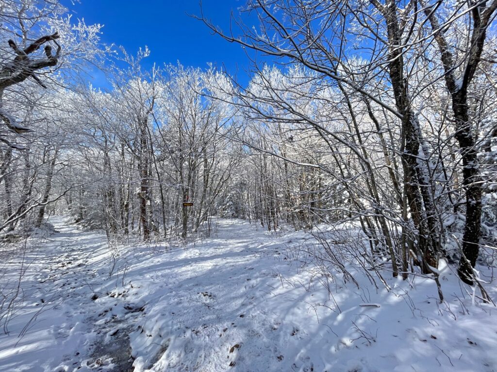 Hiking Balsam Mountain
