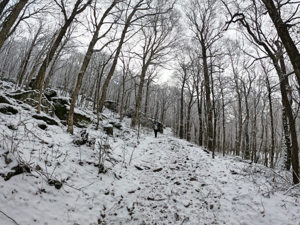 Hiking Balsam Mountain