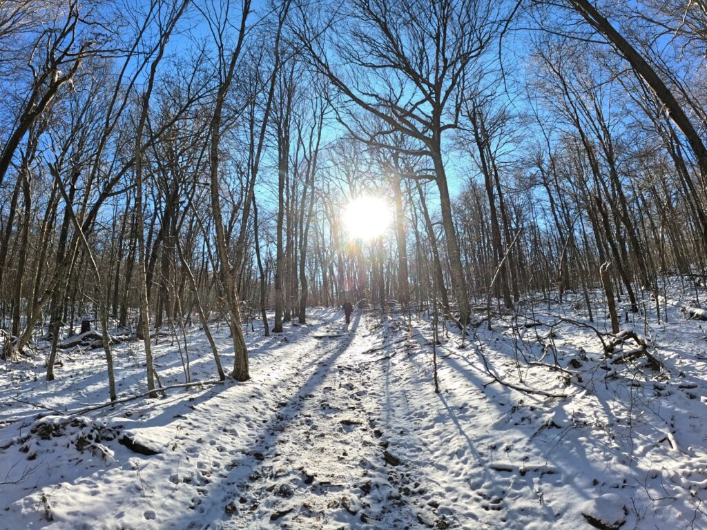 Hiking Balsam Mountain