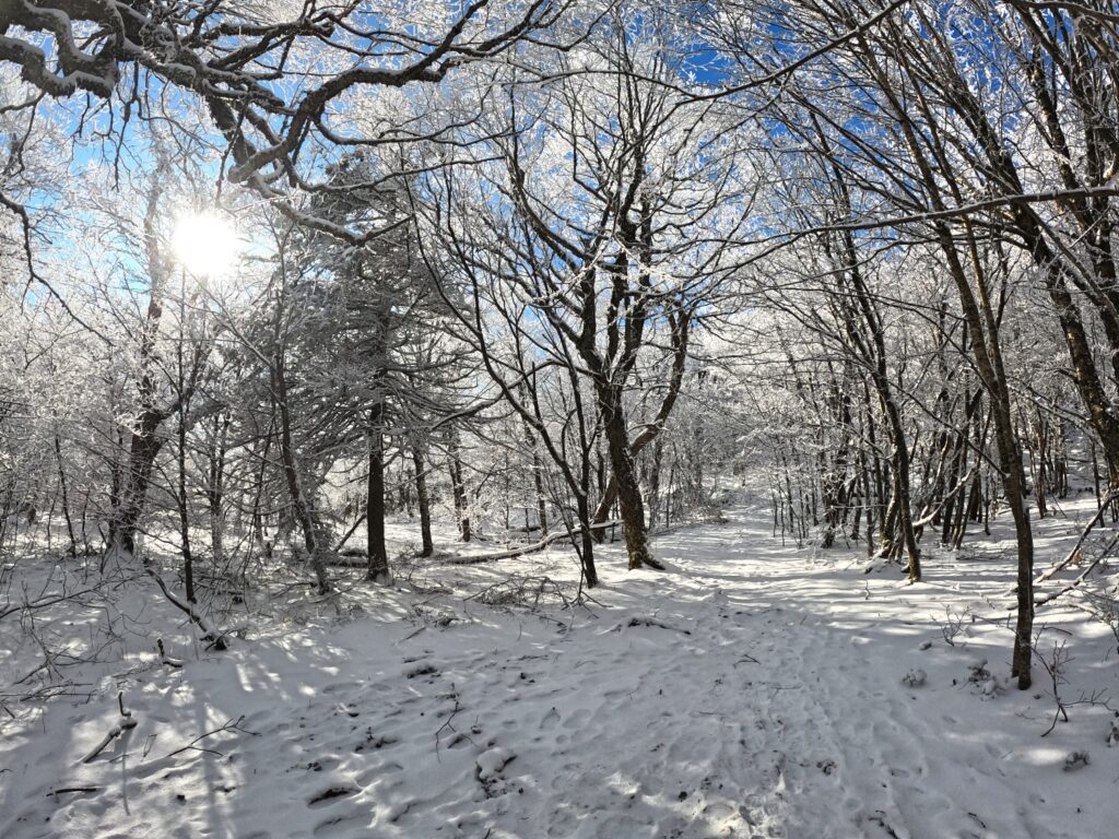 Hiking Balsam Mountain