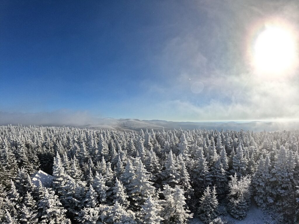 Hiking Balsam Mountain