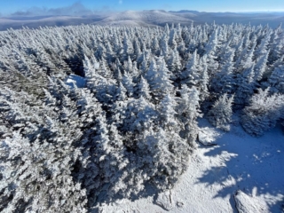 Hiking Balsam Mountain