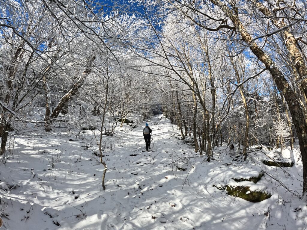 Hiking Balsam Mountain