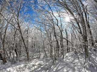 Hiking Balsam Mountain