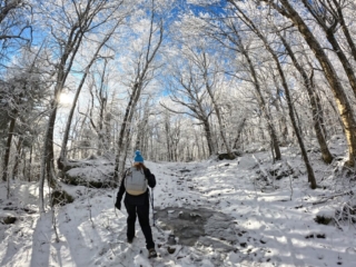 Hiking Balsam Mountain
