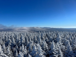 Hiking Balsam Mountain