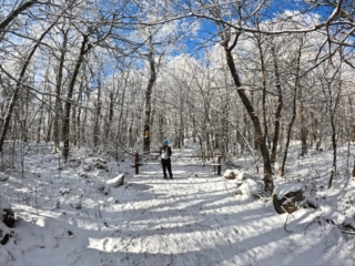 Hiking Balsam Mountain